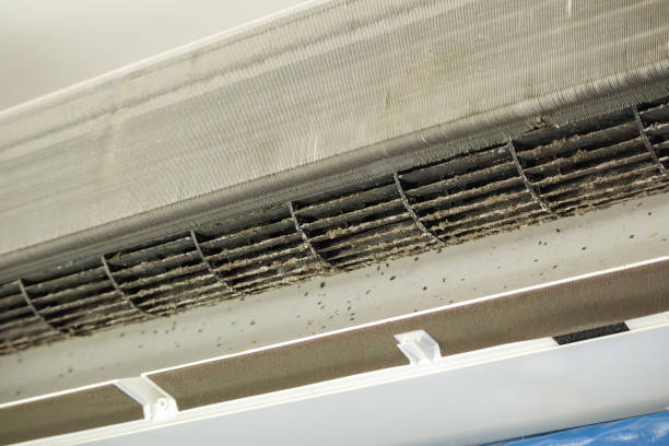 Best Best Air Duct Cleaning Company  in Albuquerque, NM